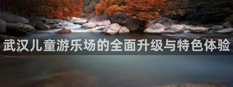 武汉儿童游乐场的全面升级与特色体验