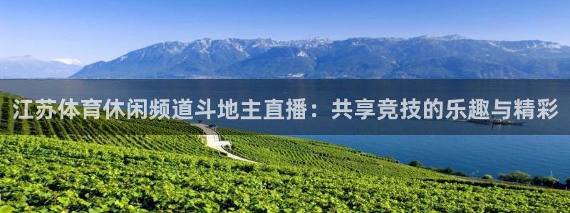 江苏体育休闲频道斗地主直播：共享竞技的乐趣与精彩