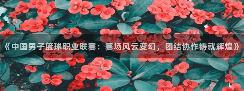 《中国男子篮球职业联赛：赛场风云变幻，团结协作铸就辉煌》