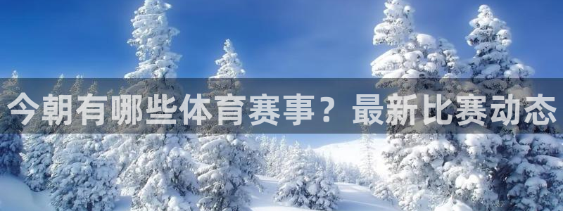 今朝有哪些体育赛事？最新比赛动态
