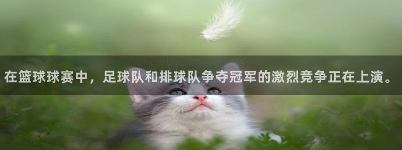 在篮球球赛中，足球队和排球队争夺冠军的激烈竞争正在上演。