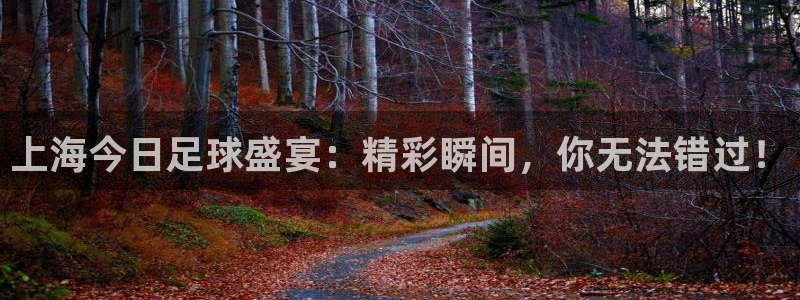 上海今日足球盛宴：精彩瞬间，你无法错过！