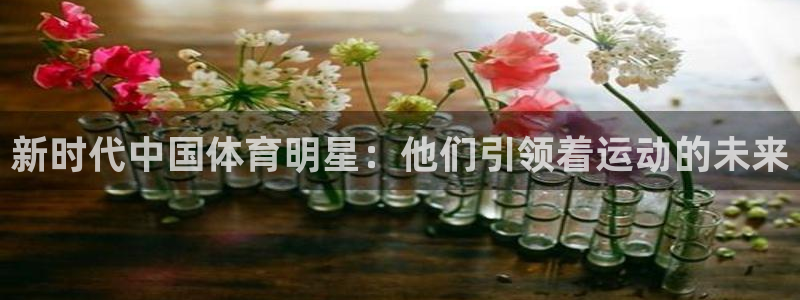 新时代中国体育明星：他们引领着运动的未来