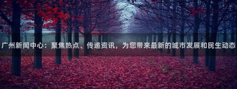广州新闻中心：聚焦热点、传递资讯，为您带来最新的城市发展和民生动态