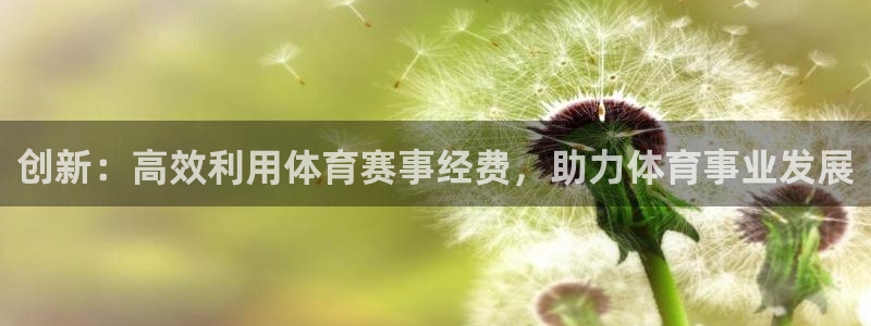 创新：高效利用体育赛事经费，助力体育事业发展