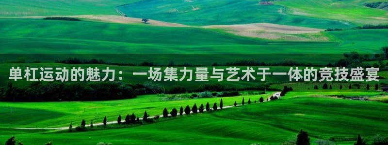 单杠运动的魅力：一场集力量与艺术于一体的竞技盛宴