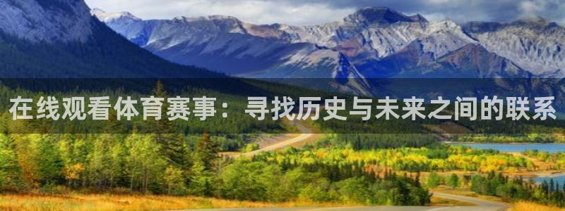 在线观看体育赛事：寻找历史与未来之间的联系