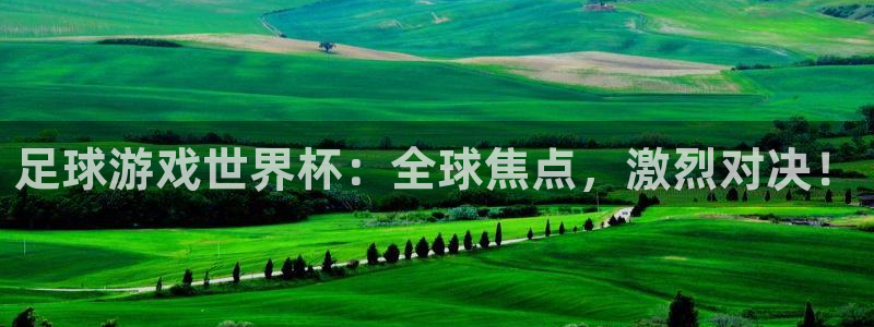 足球游戏世界杯：全球焦点，激烈对决！