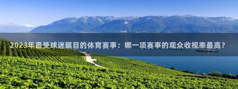 2023年最受球迷瞩目的体育赛事：哪一项赛事的观众收视率最高？