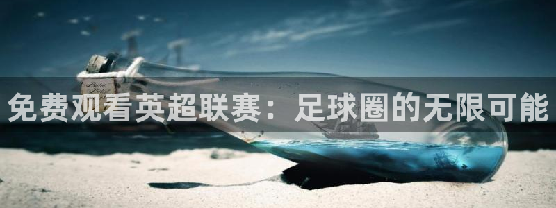 免费观看英超联赛：足球圈的无限可能