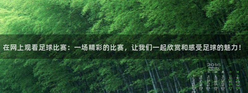 在网上观看足球比赛：一场精彩的比赛，让我们一起欣赏和感受足球的魅力！
