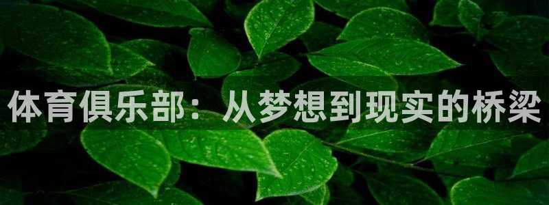 体育俱乐部：从梦想到现实的桥梁