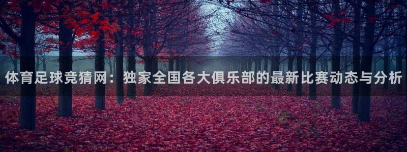 体育足球竞猜网：独家全国各大俱乐部的最新比赛动态与分析