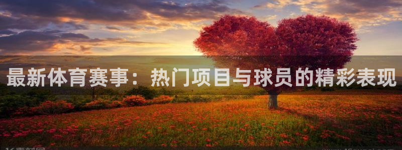 最新体育赛事：热门项目与球员的精彩表现
