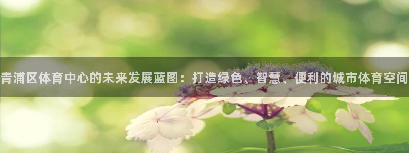 青浦区体育中心的未来发展蓝图：打造绿色、智慧、便利的城市体育空间