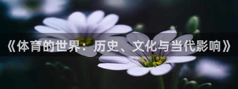 《体育的世界：历史、文化与当代影响》
