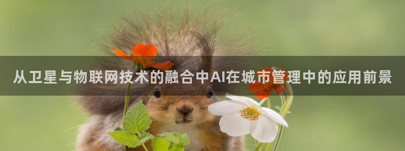从卫星与物联网技术的融合中AI在城市管理中的应用前景