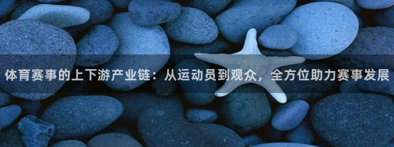 体育赛事的上下游产业链：从运动员到观众，全方位助力赛事发展