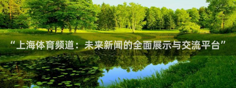 “上海体育频道:未来新闻的全面展示与交流平台”
