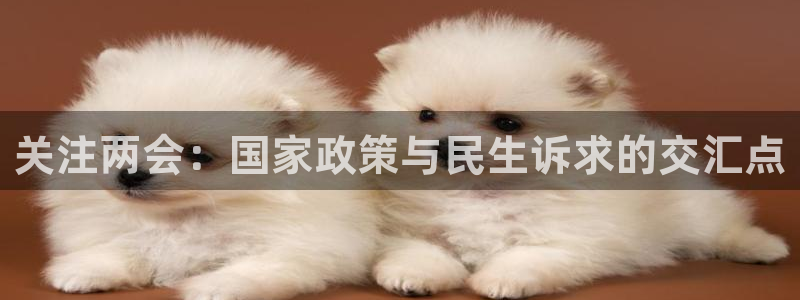 关注两会:国家政策与民生诉求的交汇点
